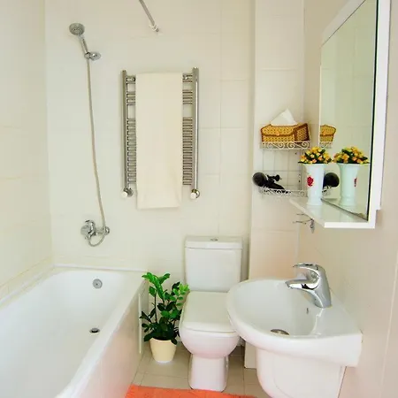 Apartment Deribasovskaya *
